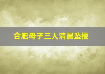 合肥母子三人清晨坠楼