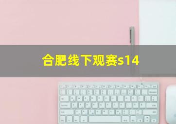 合肥线下观赛s14