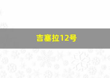 吉塞拉12号