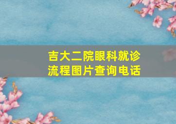 吉大二院眼科就诊流程图片查询电话