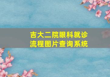 吉大二院眼科就诊流程图片查询系统