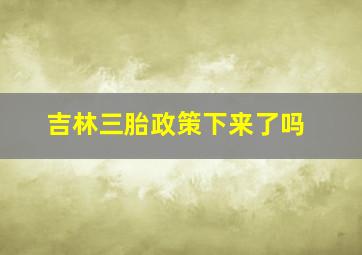 吉林三胎政策下来了吗