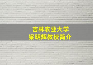 吉林农业大学梁明辉教授简介