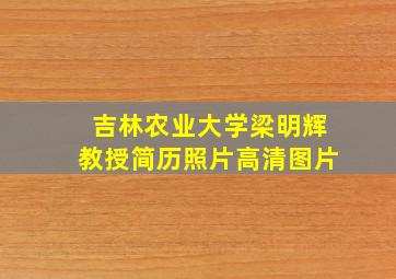 吉林农业大学梁明辉教授简历照片高清图片