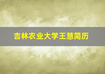 吉林农业大学王慧简历