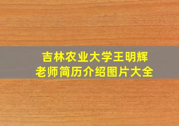 吉林农业大学王明辉老师简历介绍图片大全