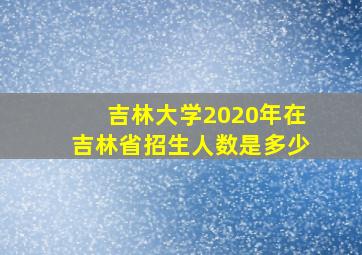 吉林大学2020年在吉林省招生人数是多少