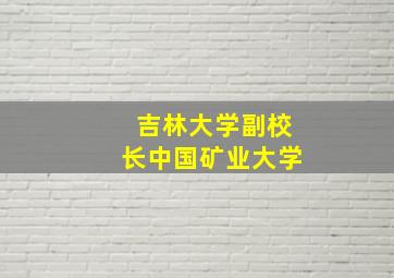 吉林大学副校长中国矿业大学