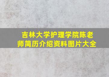 吉林大学护理学院陈老师简历介绍资料图片大全