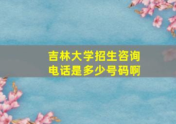 吉林大学招生咨询电话是多少号码啊