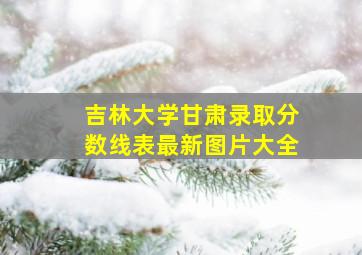 吉林大学甘肃录取分数线表最新图片大全