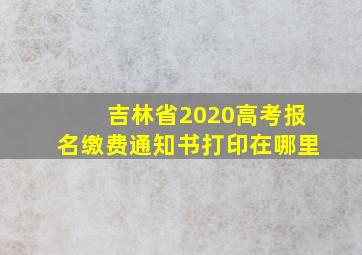 吉林省2020高考报名缴费通知书打印在哪里