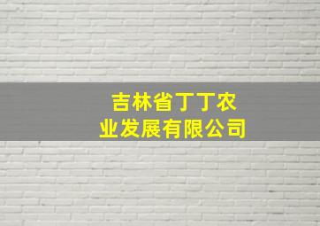 吉林省丁丁农业发展有限公司