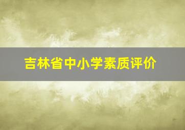 吉林省中小学素质评价