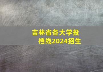 吉林省各大学投档线2024招生