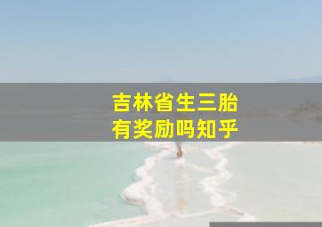 吉林省生三胎有奖励吗知乎