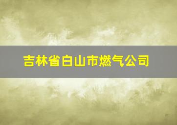 吉林省白山市燃气公司