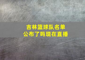 吉林篮球队名单公布了吗现在直播