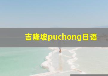 吉隆坡puchong日语