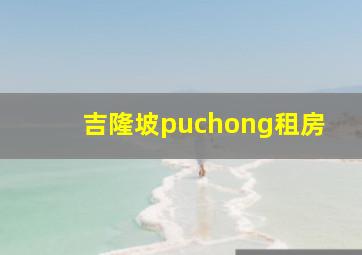 吉隆坡puchong租房