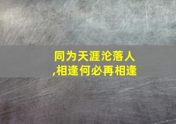 同为天涯沦落人,相逢何必再相逢