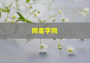 同音字同