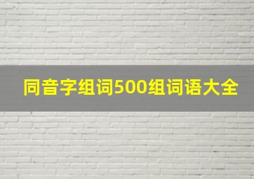 同音字组词500组词语大全