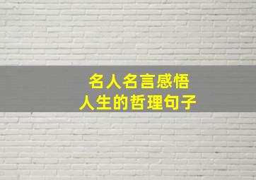 名人名言感悟人生的哲理句子