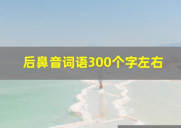 后鼻音词语300个字左右