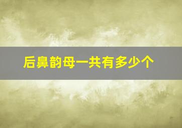 后鼻韵母一共有多少个