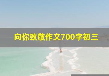 向你致敬作文700字初三