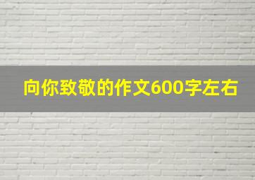 向你致敬的作文600字左右