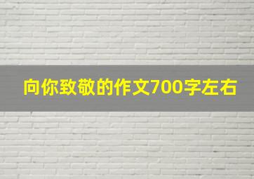 向你致敬的作文700字左右