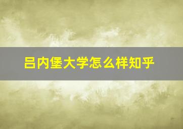 吕内堡大学怎么样知乎