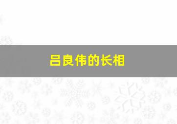 吕良伟的长相