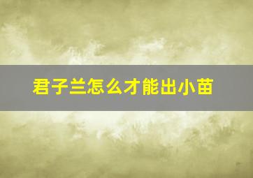 君子兰怎么才能出小苗