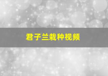 君子兰栽种视频