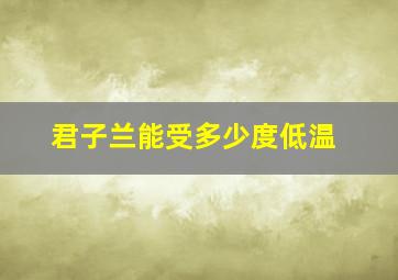 君子兰能受多少度低温