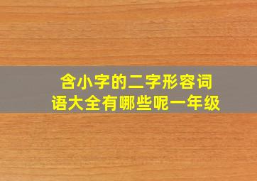 含小字的二字形容词语大全有哪些呢一年级