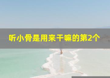 听小骨是用来干嘛的第2个