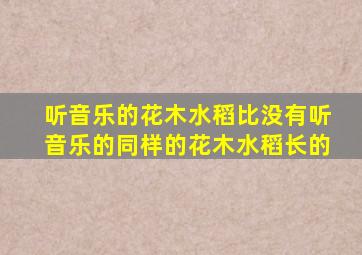 听音乐的花木水稻比没有听音乐的同样的花木水稻长的