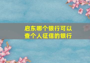 启东哪个银行可以查个人征信的银行