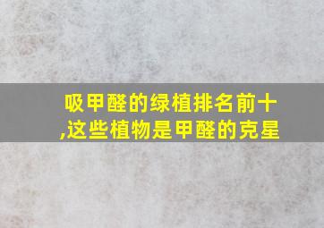 吸甲醛的绿植排名前十,这些植物是甲醛的克星