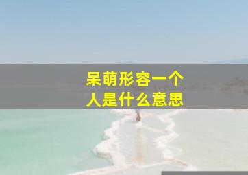 呆萌形容一个人是什么意思