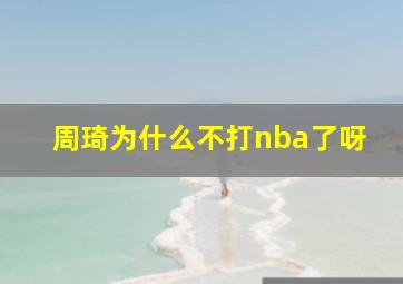 周琦为什么不打nba了呀