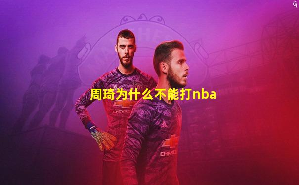 周琦为什么不能打nba