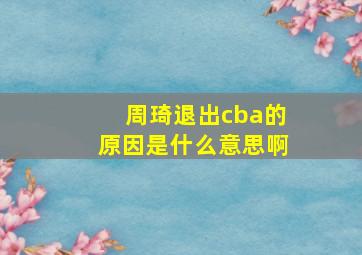 周琦退出cba的原因是什么意思啊