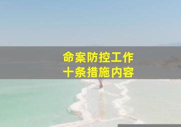 命案防控工作十条措施内容