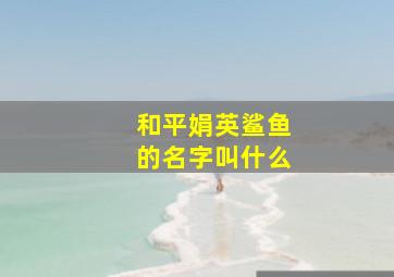 和平娟英鲨鱼的名字叫什么