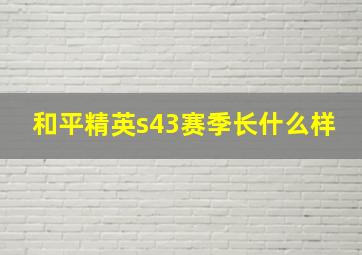 和平精英s43赛季长什么样